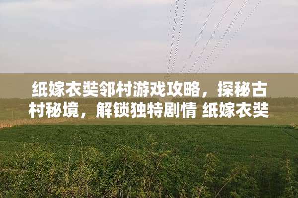 纸嫁衣奘邻村游戏攻略，探秘古村秘境，解锁独特剧情 纸嫁衣奘邻村游戏攻略