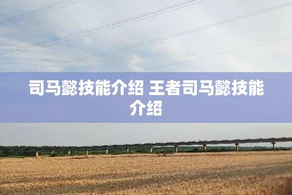 司马懿技能介绍 王者司马懿技能介绍