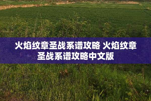 火焰纹章圣战系谱攻略 火焰纹章圣战系谱攻略中文版