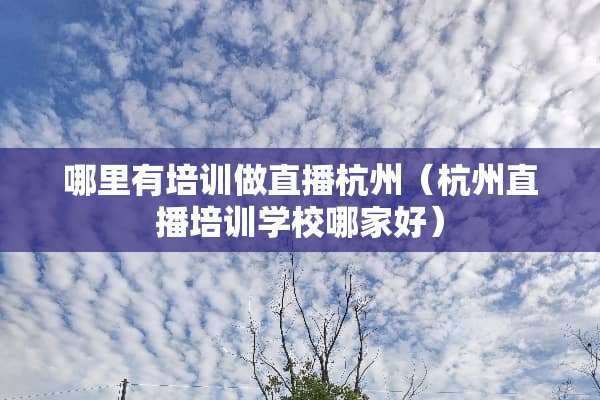 哪里有培训做直播杭州（杭州直播培训学校哪家好）