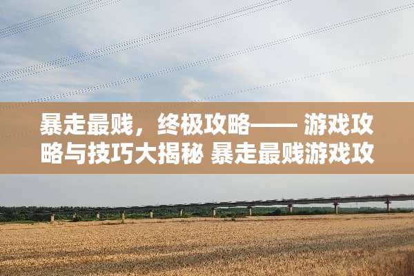 暴走最贱，终极攻略—— 游戏攻略与技巧大揭秘 暴走最贱游戏攻略