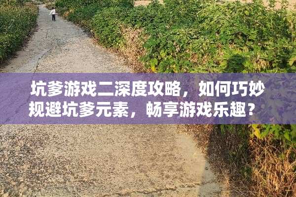 坑爹游戏二深度攻略，如何巧妙规避坑爹元素，畅享游戏乐趣？ 坑爹游戏二游戏攻略
