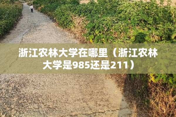 浙江农林大学在哪里（浙江农林大学是985还是211）