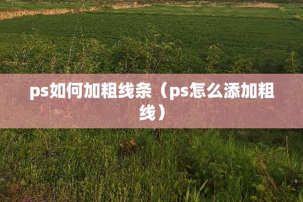 ps如何加粗线条（ps怎么添加粗线）