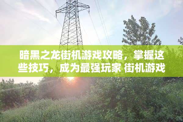 暗黑之龙街机游戏攻略，掌握这些技巧，成为最强玩家 街机游戏暗黑之龙攻略
