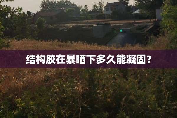 结构胶在暴晒下多久能凝固？