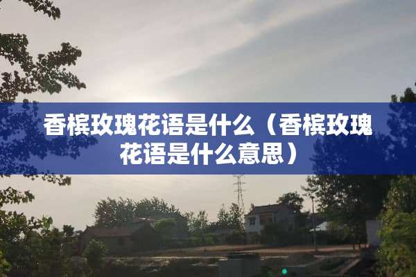 香槟玫瑰花语是什么（香槟玫瑰花语是什么意思）