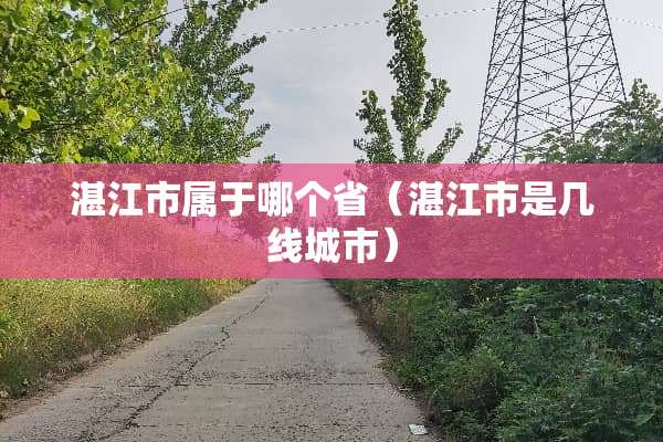 湛江市属于哪个省（湛江市是几线城市）