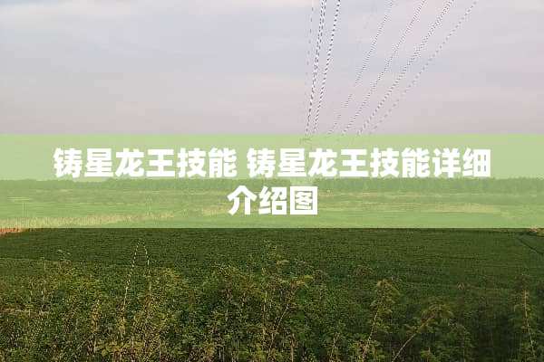 铸星龙王技能 铸星龙王技能详细介绍图