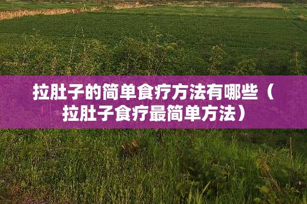 拉肚子的简单食疗方法有哪些（拉肚子食疗最简单方法）