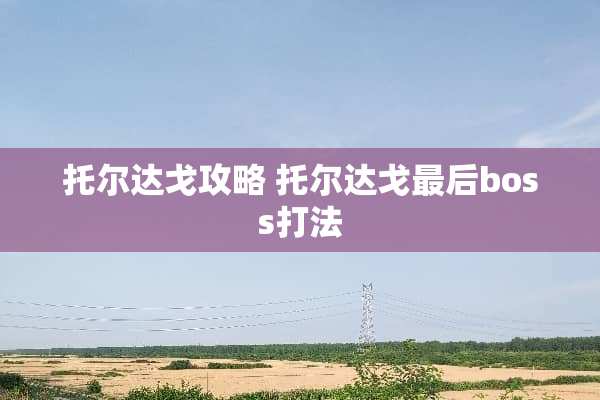 托尔达戈攻略 托尔达戈最后boss打法