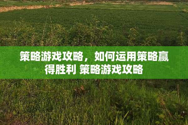 策略游戏攻略，如何运用策略赢得胜利 策略游戏攻略