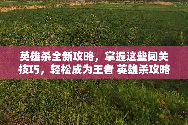 英雄杀全新攻略，掌握这些闯关技巧，轻松成为王者 英雄杀攻略闯关