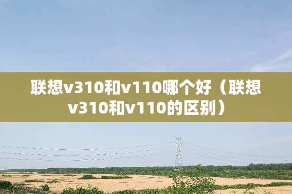 联想v310和v110哪个好（联想v310和v110的区别）