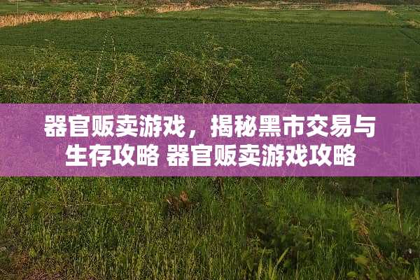 **贩卖游戏，揭秘**交易与生存攻略**贩卖游戏攻略