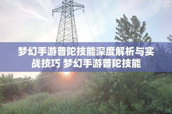 梦幻手游普陀技能深度解析与实战技巧 梦幻手游普陀技能