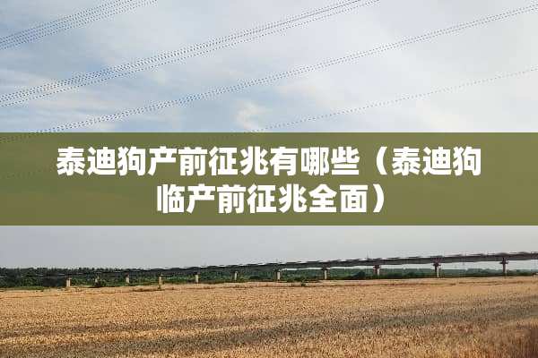 泰迪狗产前征兆有哪些（泰迪狗临产前征兆全面）