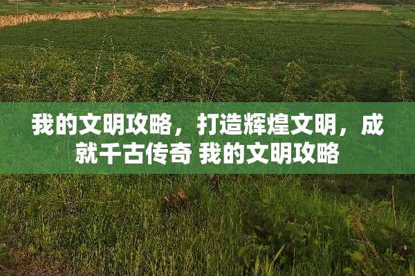 我的文明攻略，打造辉煌文明，成就千古传奇 我的文明攻略