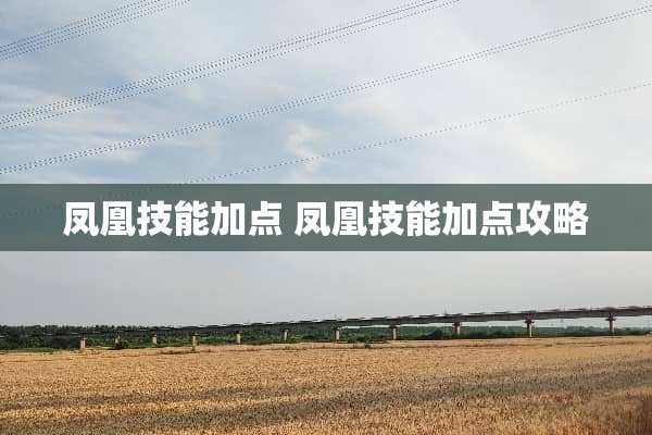 凤凰技能加点 凤凰技能加点攻略