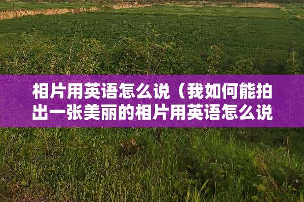 相片用英语怎么说（我如何能拍出一张美丽的相片用英语怎么说）