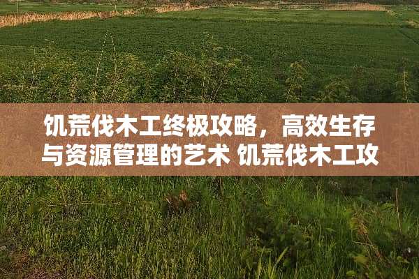 饥荒伐木工终极攻略，高效生存与资源管理的艺术 饥荒伐木工攻略