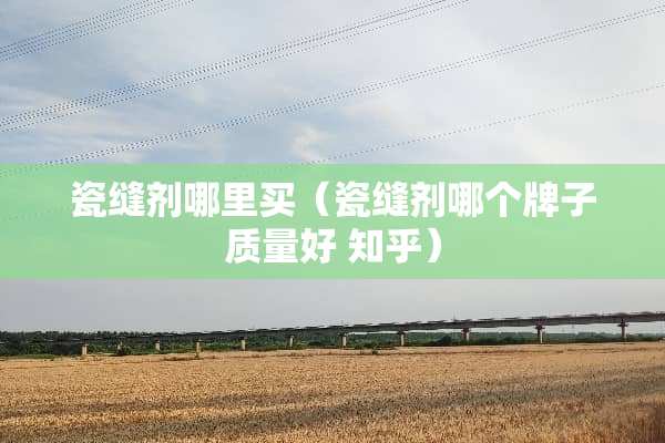 瓷缝剂哪里买（瓷缝剂哪个牌子质量好 知乎）