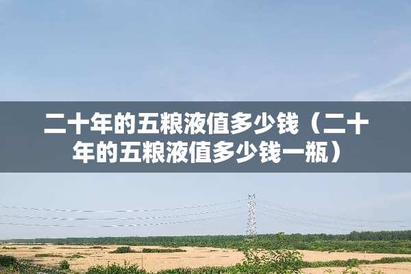 二十年的五粮液值多少钱（二十年的五粮液值多少钱一瓶）