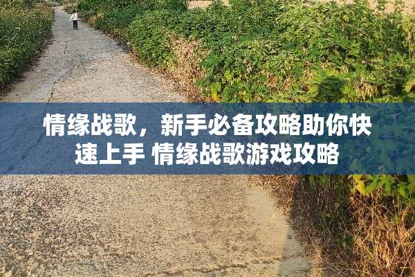 情缘战歌，新手必备攻略助你快速上手 情缘战歌游戏攻略