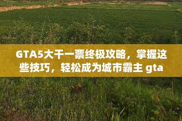 GTA5大干一票终极攻略，掌握这些技巧，轻松成为城市霸主 gta5大干一票攻略
