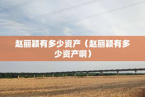 赵丽颖有多少资产（赵丽颖有多少资产啊）