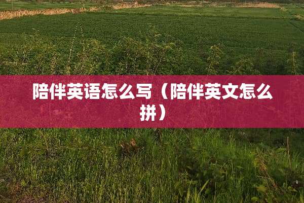 陪伴英语怎么写（陪伴英文怎么拼）