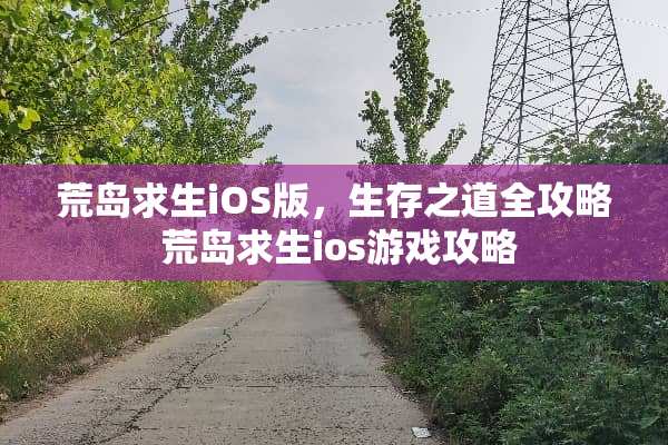 荒岛求生iOS版，生存之道全攻略 荒岛求生ios游戏攻略