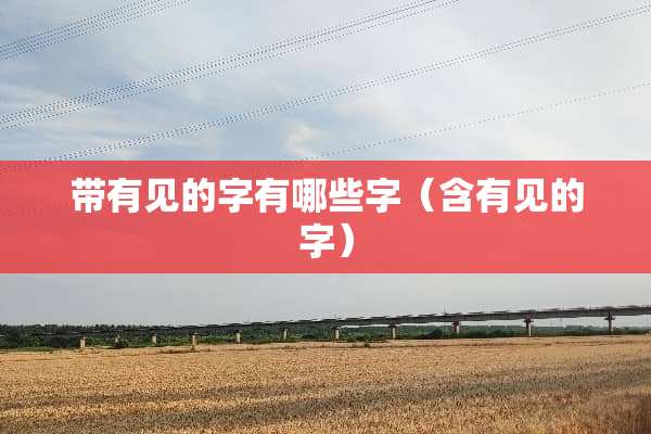 带有见的字有哪些字（含有见的字）
