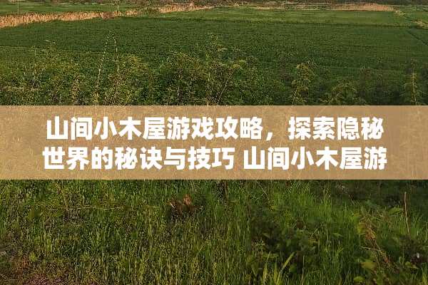 山间小木屋游戏攻略，探索隐秘世界的秘诀与技巧 山间小木屋游戏攻略