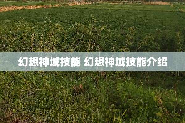 幻想神域技能 幻想神域技能介绍