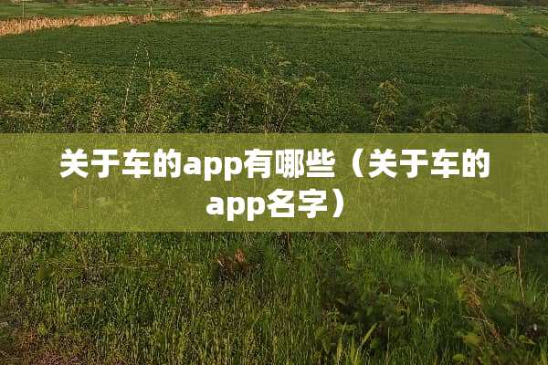 关于车的app有哪些（关于车的app名字）