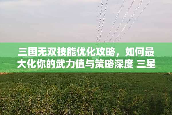 三国无双技能优化攻略，如何最大化你的**值与策略深度 三星无双技能