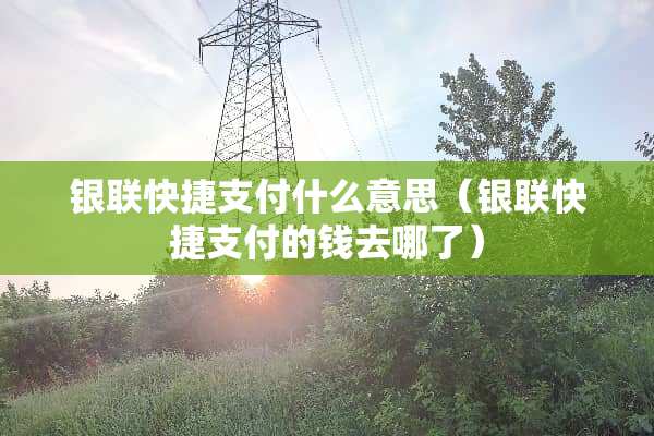 银联快捷支付什么意思（银联快捷支付的钱去哪了）