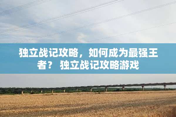 **战记攻略，如何成为最强王者？**战记攻略游戏