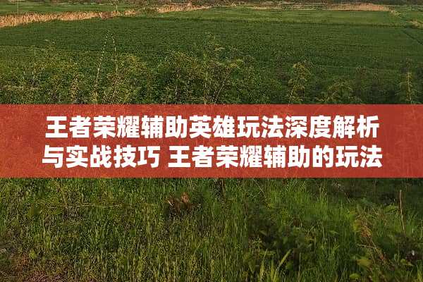 王者荣耀辅助英雄玩法深度解析与实战技巧 王者荣耀辅助的玩法