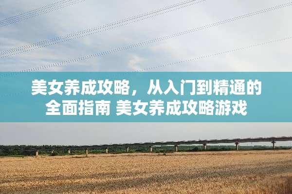 **养成攻略，从入门到精通的全面指南**养成攻略游戏