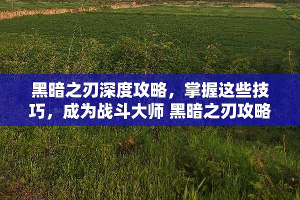 黑暗之刃深度攻略，掌握这些技巧，成为战斗大师 黑暗之刃攻略