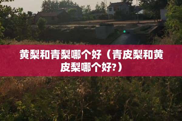 黄梨和青梨哪个好(青皮梨和黄皮梨哪个好?) 黄梨和青梨哪个好(青皮梨和黄皮梨哪个好?)
