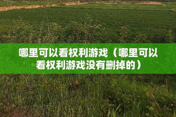 哪里可以看权利游戏（哪里可以看权利游戏没有删掉的）