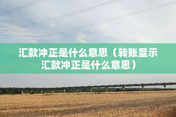 汇款冲正是什么意思（转账显示汇款冲正是什么意思）