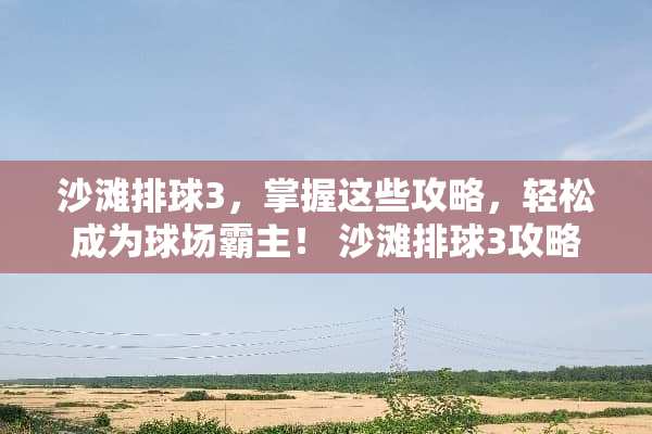 沙滩排球3，掌握这些攻略，轻松成为球场霸主！ 沙滩排球3攻略