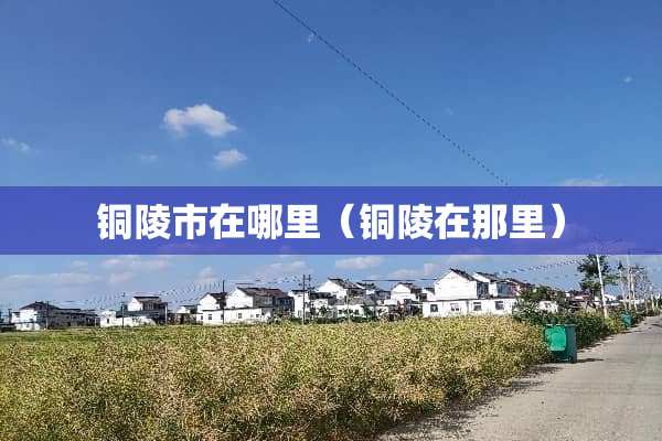 铜陵市在哪里（铜陵在那里）