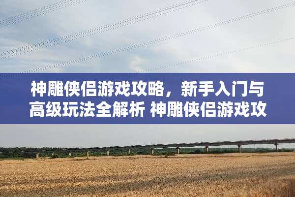 神雕侠侣游戏攻略，新手入门与高级玩法全解析 神雕侠侣游戏攻略