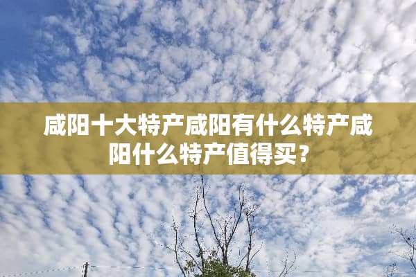 咸阳十大特产咸阳有什么特产咸阳什么特产值得买？