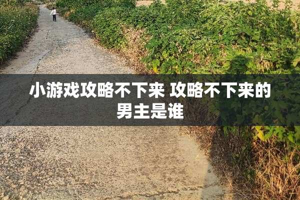 小游戏攻略不下来 攻略不下来的男主是谁